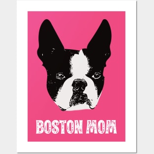 Boston Bull Terrier Face Posters and Art